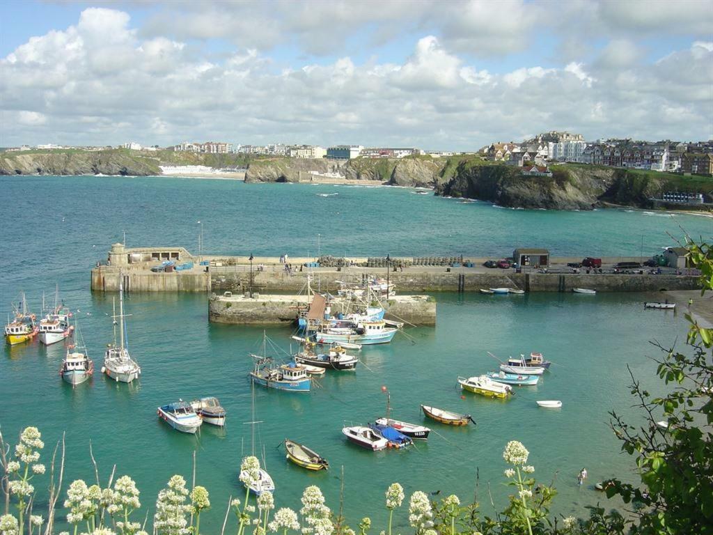 Abreakaway Lodge New Quay Extérieur photo